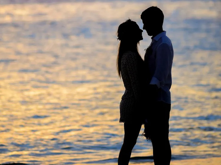 image6.jpeg image6.jpeg